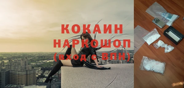 дмт Абаза
