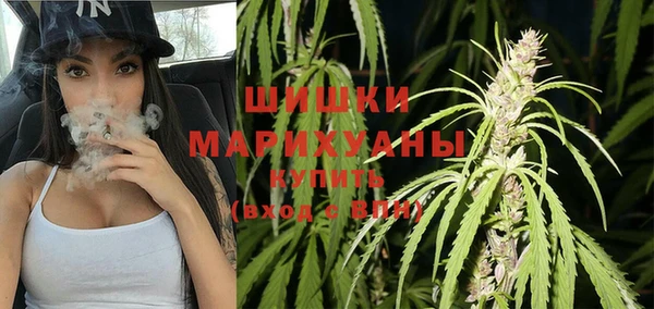 ПСИЛОЦИБИНОВЫЕ ГРИБЫ Переславль-Залесский