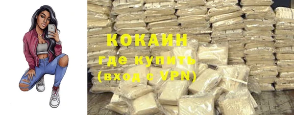 дмт Абаза